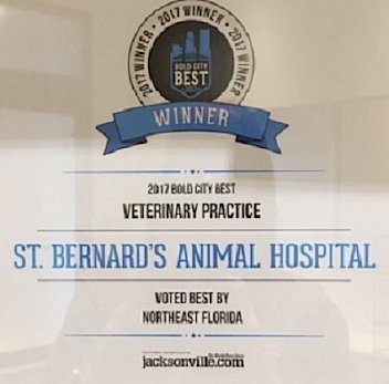 2017 Best Veterinary Practice in Jacksonville