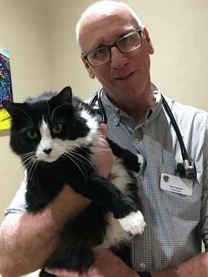 Ron Hansen, DVM